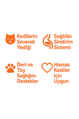 Reflex Somonlu Pirinçli Kısırlaşlaştırılmış Kedi Maması 1KG (Yeni 1 kg Zipli Paketler) - 4