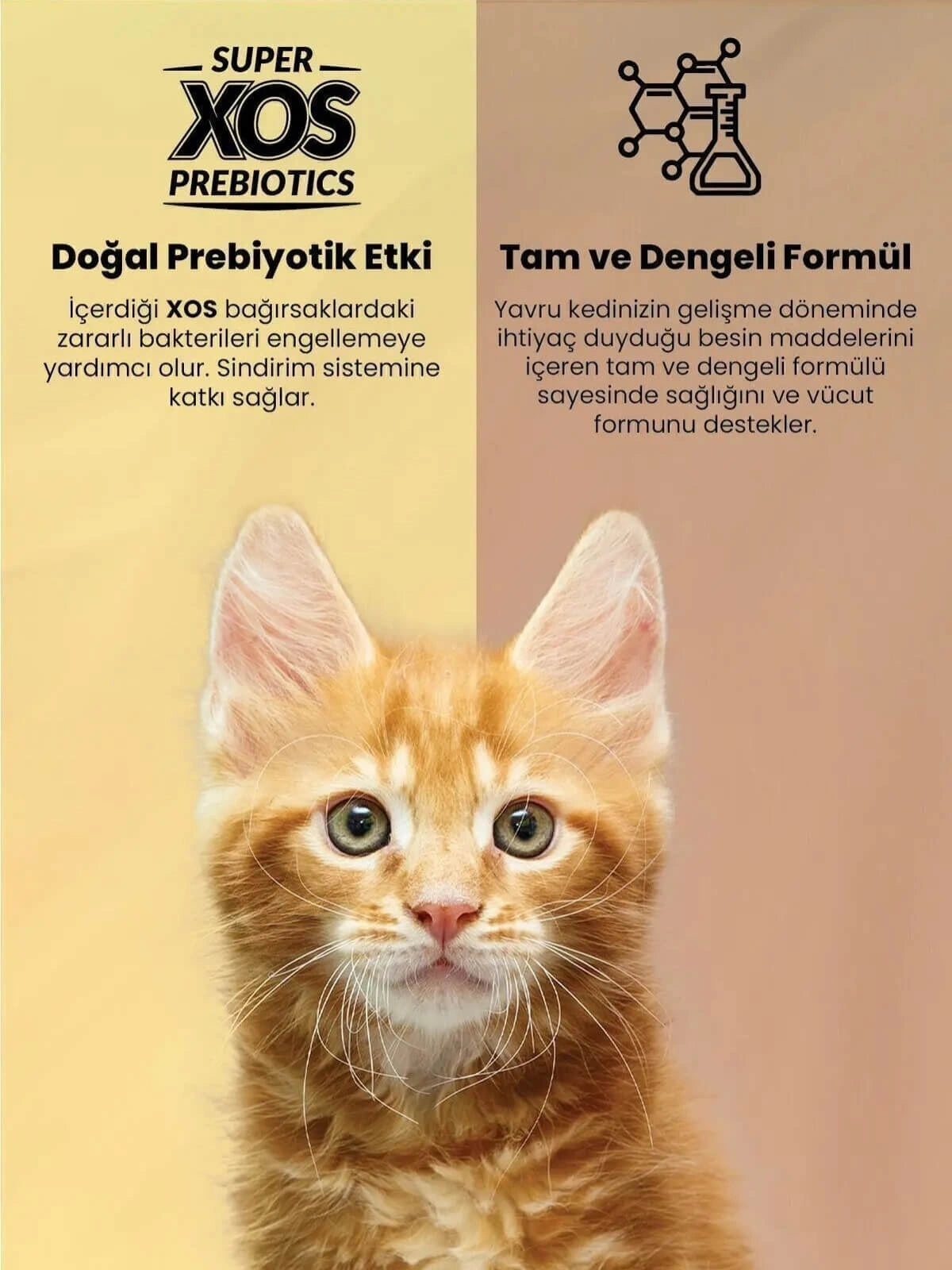 Reflex Plus Somonlu Yavru Kedi Maması 1,5 Kg