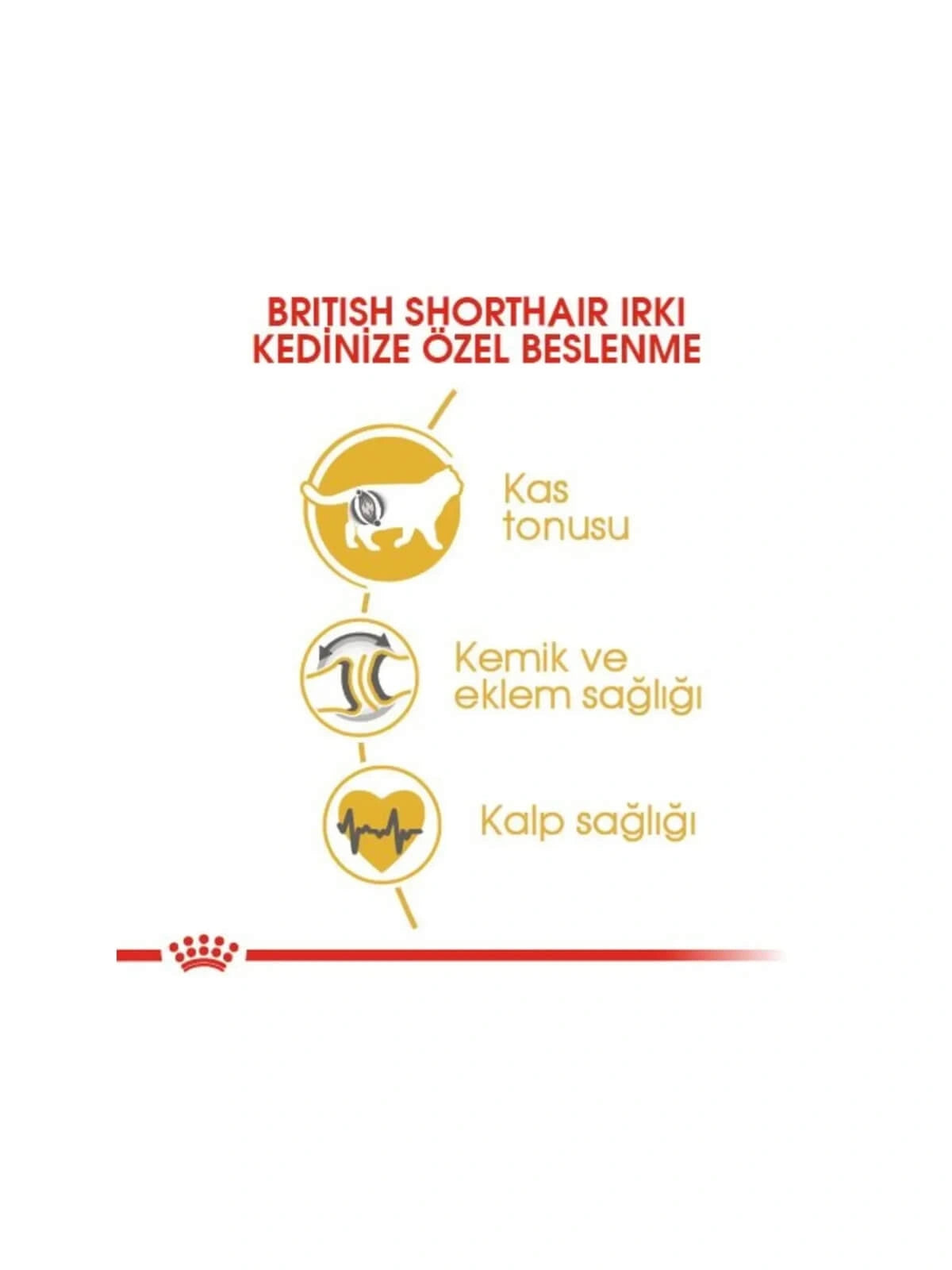 Royal Canin British Shorthair Yetişkin Kedi Maması 2 Kg