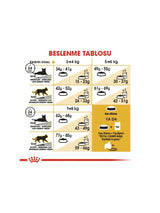 Royal Canin British Shorthair Yetişkin Kedi Maması 2 Kg