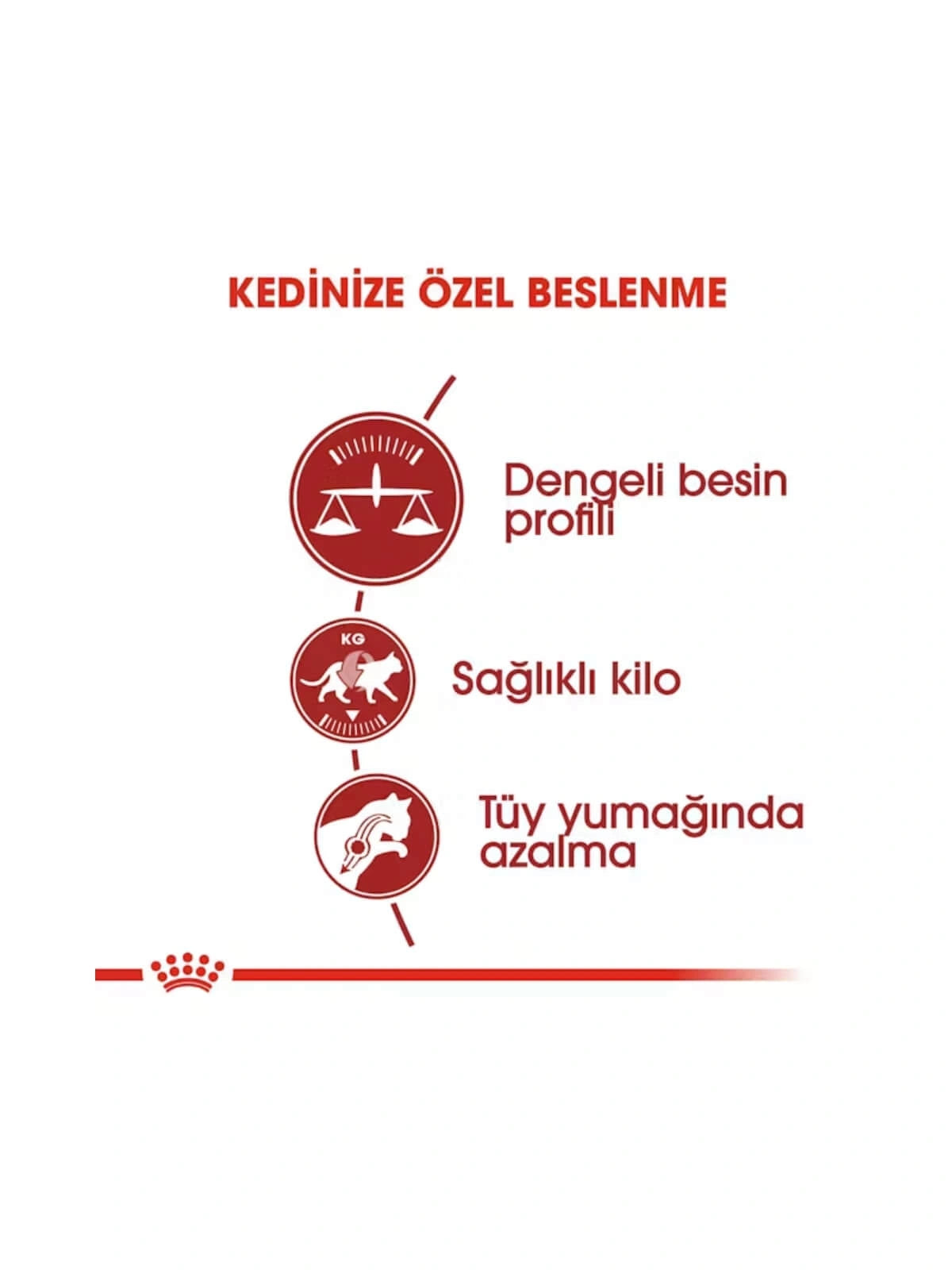 Royal Canin Fit 32 Yetişkin Kedi Maması 15 Kg