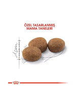 Royal Canin Kısırlaştırılmış Kedi Maması 15 Kg