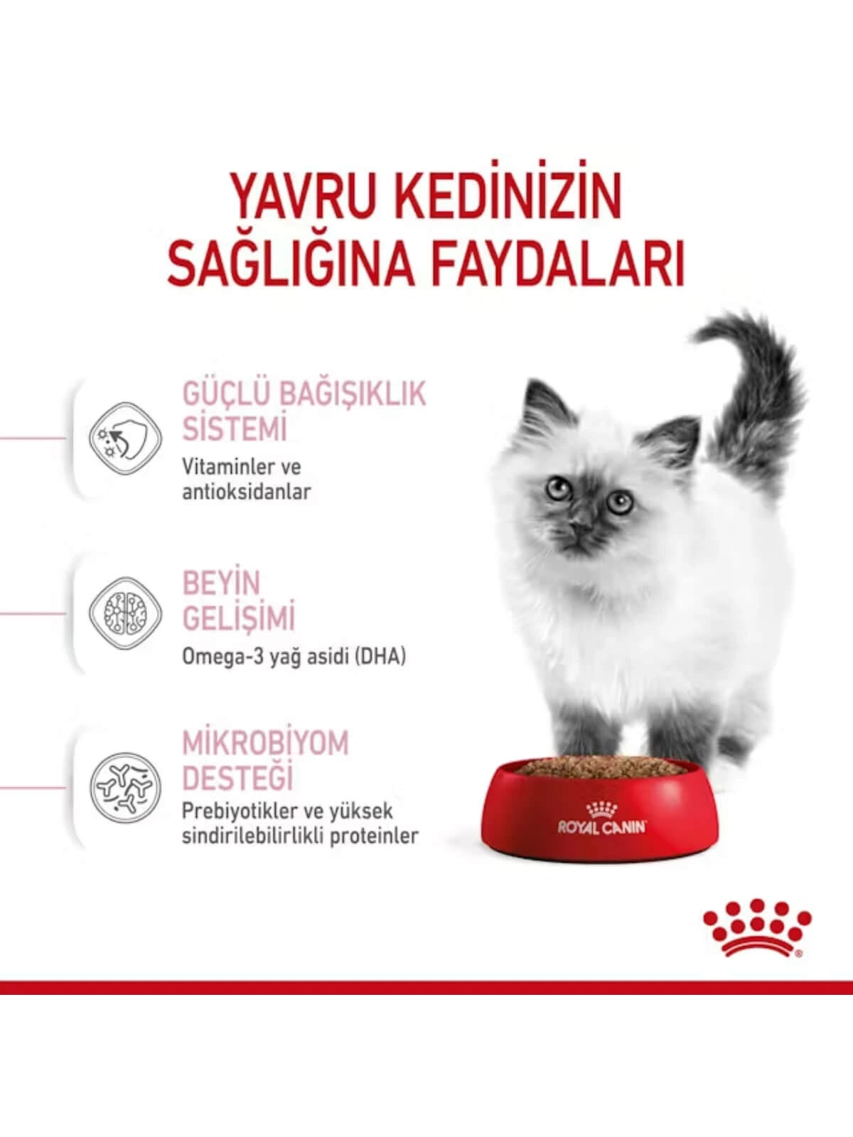Royal Canin Kitten Yavru Kedi Maması 10 Kg