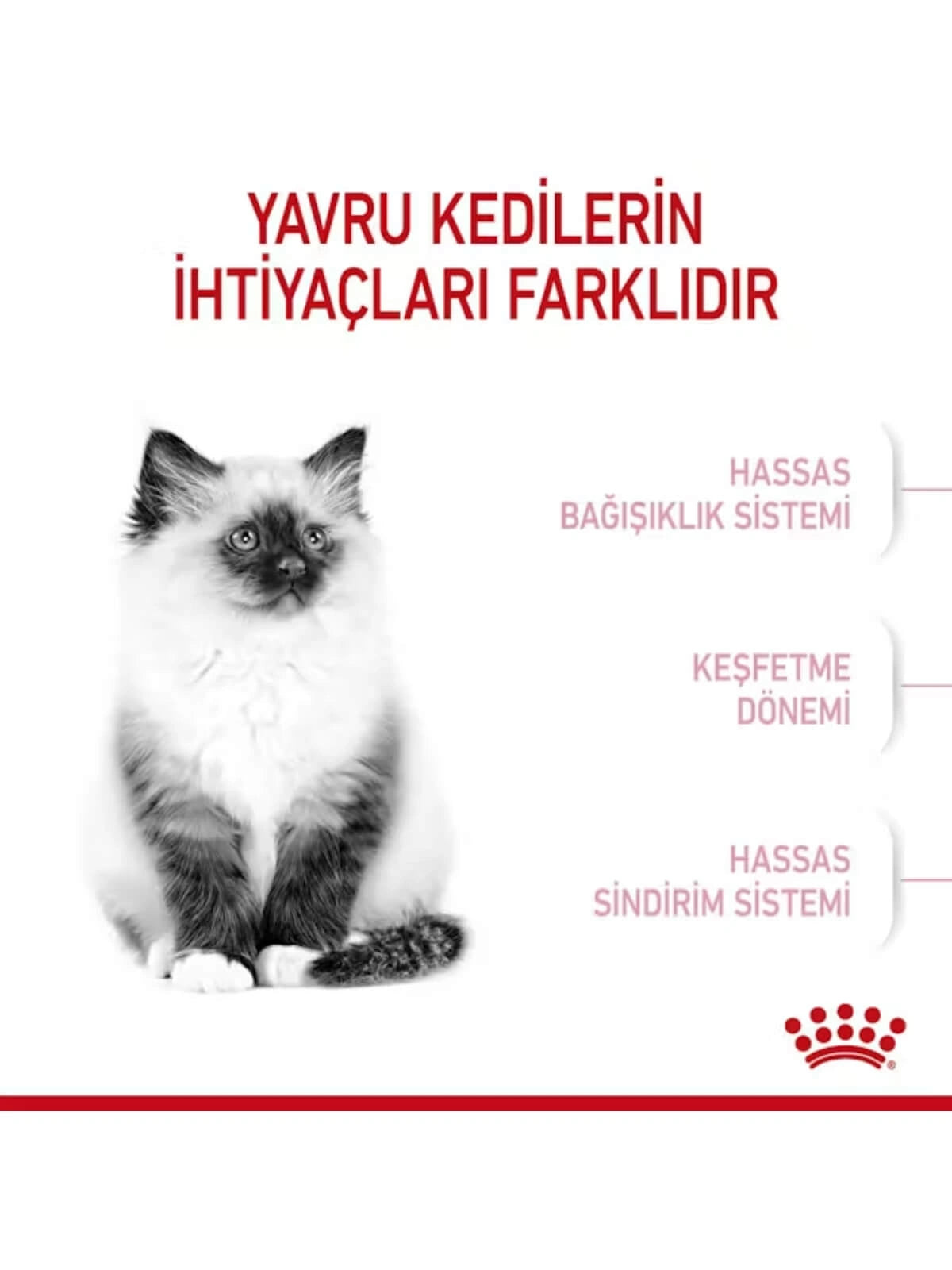Royal Canin Kitten Yavru Kedi Maması 10 Kg