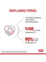 Royal Canin Kitten Yavru Kedi Maması 10 Kg