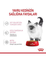 Royal Canin Kitten Jelly Yavru Kedi Ödül Maması 85 Gr