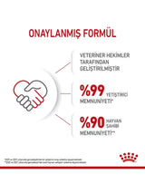 Royal Canin Kitten Jelly Yavru Kedi Ödül Maması 85 Gr