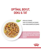 Royal Canin Kitten Jelly Yavru Kedi Ödül Maması 85 Gr