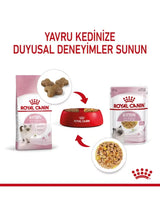 Royal Canin Kitten Jelly Yavru Kedi Ödül Maması 85 Gr