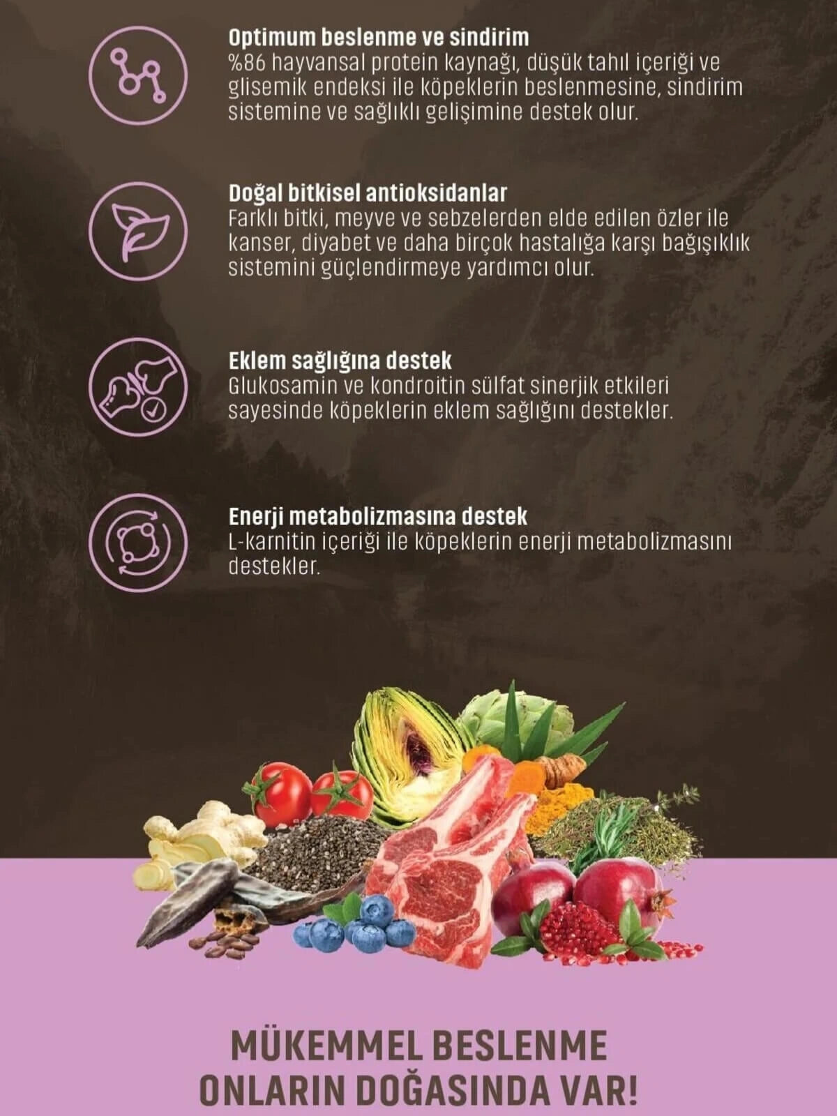 Spectrum Low Grain Kuzu Etli Yaban Mersinli Yetişkin Köpek Maması 12 Kg