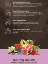 Spectrum Low Grain Kuzu Etli Yaban Mersinli Yetişkin Köpek Maması 12 Kg