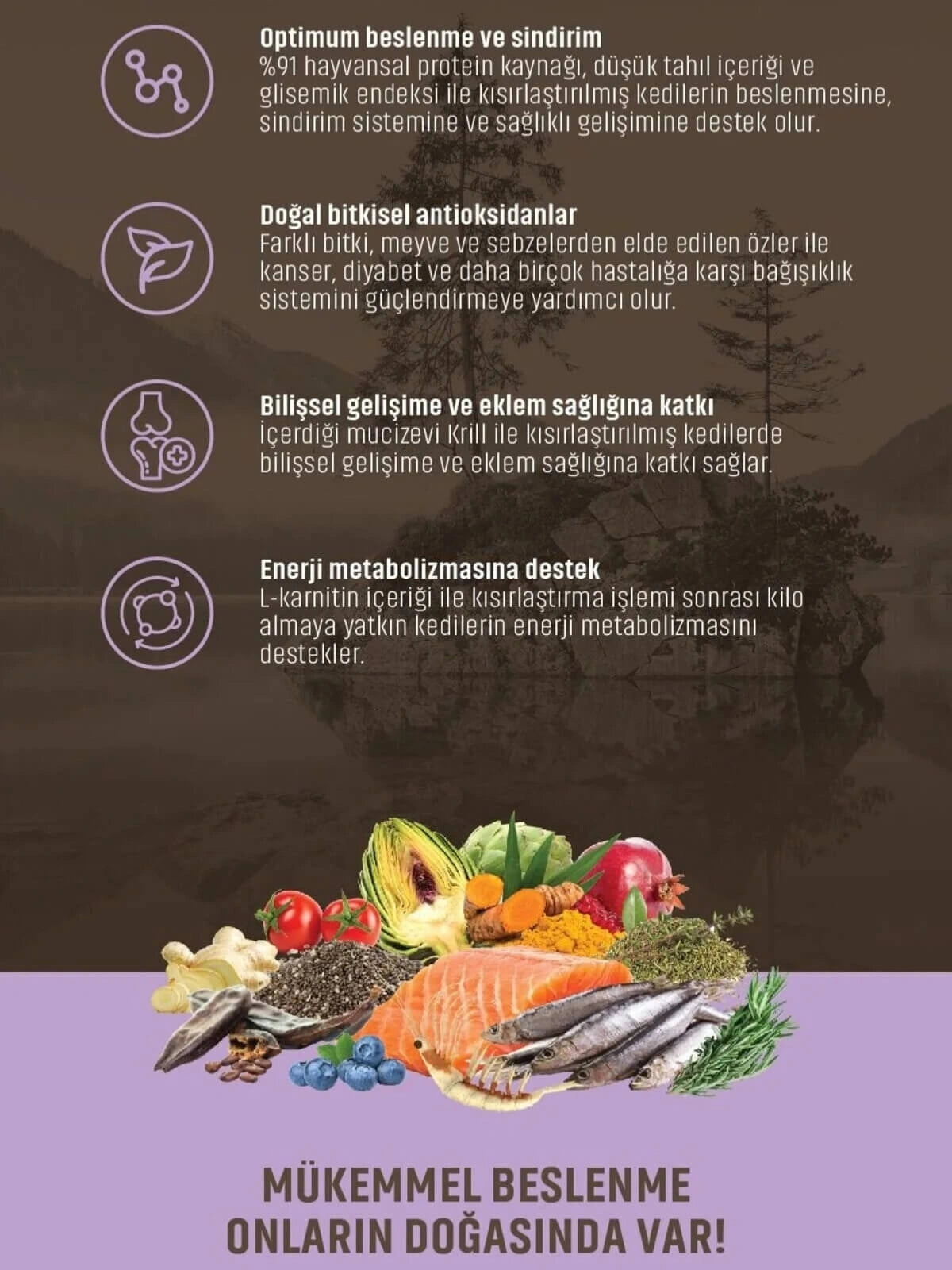 Spectrum Low Grain Somonlu Hamsili Kısırlaştırılmış Kedi Maması 12 Kg