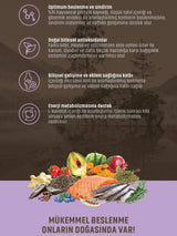 Spectrum Low Grain Somonlu Hamsili Kısırlaştırılmış Kedi Maması 12 Kg