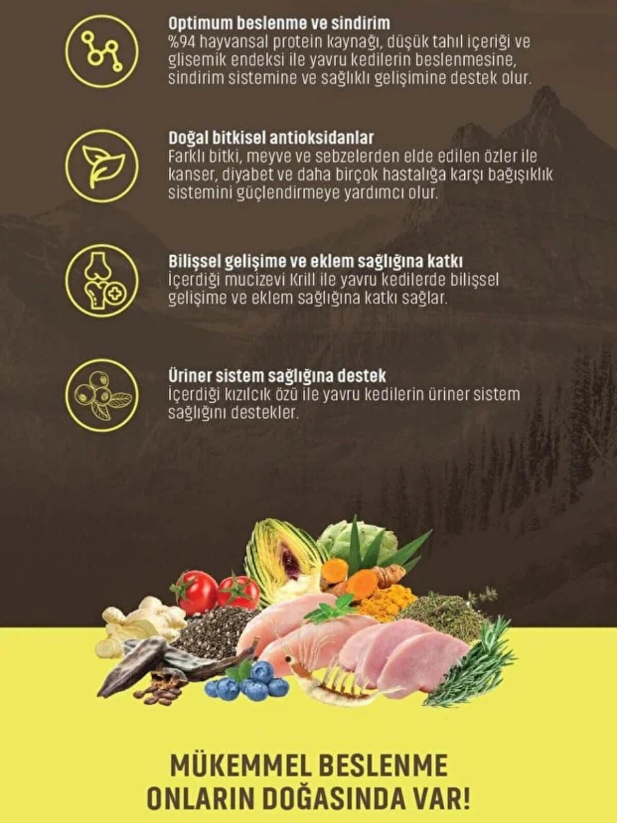 Spectrum Low Grain Tavuklu Hindili Yaban Mersinli Yavru Kedi Maması 12 Kg