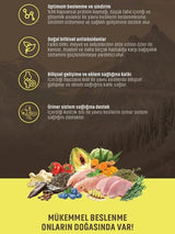 Spectrum Low Grain Tavuklu Hindili Yaban Mersinli Yavru Kedi Maması 12 Kg